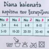 1002 - Παιδικό Βαμβακερό Kαλσόν 40D 1002 - Παιδικό Βαμβακερό Kαλσόν 40D