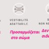 164 - Ελαστικό Σλιπ περιόδου και ακράτειας 164 - Ελαστικό Σλιπ περιόδου και ακράτειας