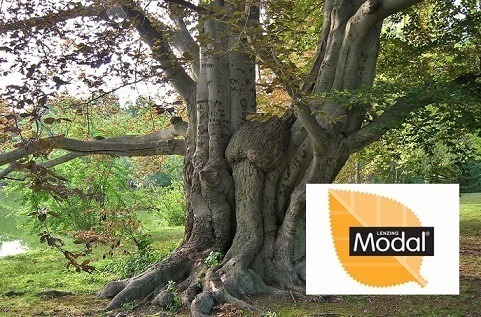 modal tree