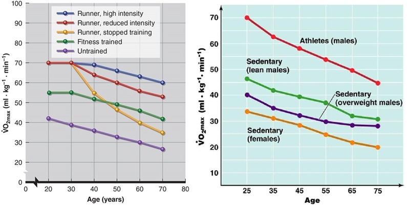 VO2 Max και άσκηση-Παρατείνει την ζωή μας - 7 τρόποι βελτίωσης 6 VO2MAX 9