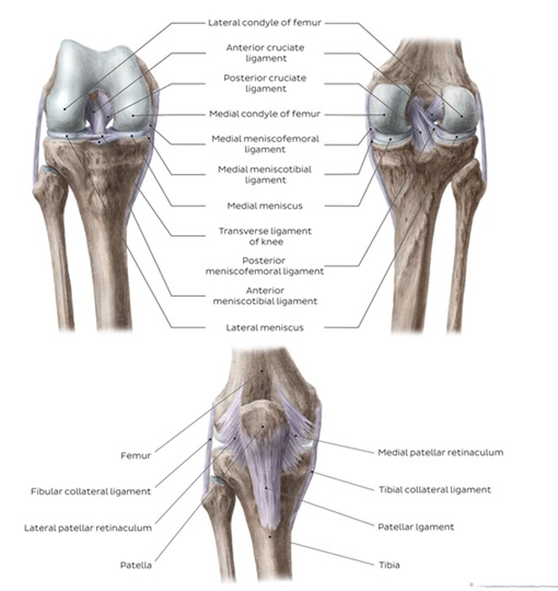 Το τρέξιμο προκαλεί οστεοαρθρίτιδα; 3 treximo kai arthritida 1